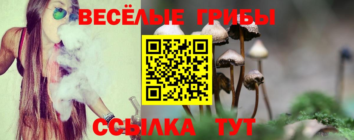 Псилоцибиновые грибы прущие грибы Торжок